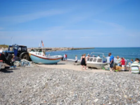 "Siri" - 400m from the Sea