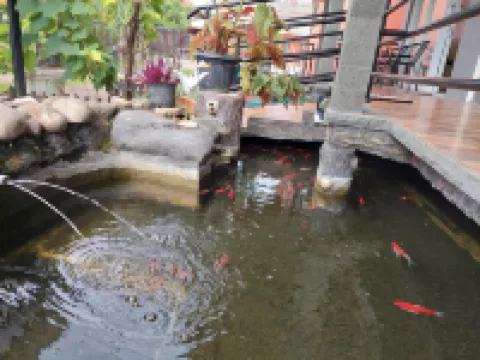 Pondok Wammy