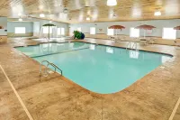 Med City Inn & Suites Rochester Mayo Clinic Area - Gym