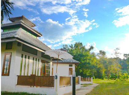 Bamboo Grove Chiang Mai