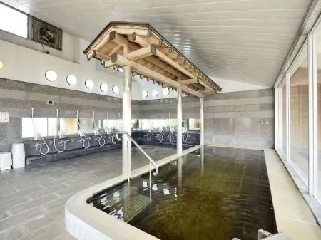 Hotel Lake Side Tsukuba Отели в г. Ториде