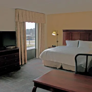 Hampton Inn & Suites Norfolk-Airport