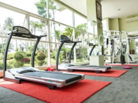 Lorin Sentul Hotel Hotels in Babakan Madang