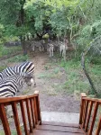 Hout Huisie (Wooden House) Self Catering Africa Bush Vacation in Marloth Park