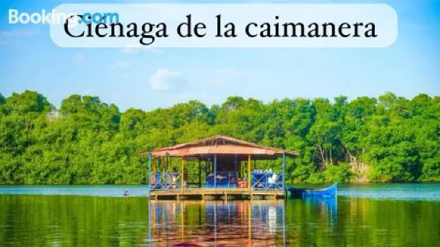 Three Stones Executive Apartments - Housity