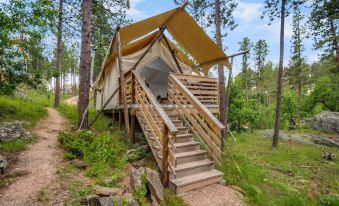 a wooden cabin with a yellow tarp roof , steps leading up to it , surrounded by trees and grass at Under Canvas Mount Rushmore