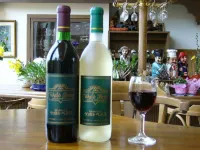 Hotels in Forest Waldberg - bar