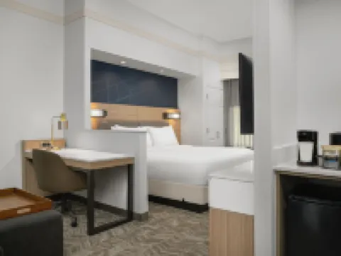 スプリングヒル スイーツ バイ マリオット アナポリス パロールのホテル