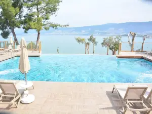 롱 비치 클럽 네이처