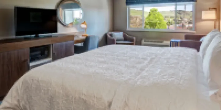 Hampton Inn Vallejo - Studio King Room Non-fume