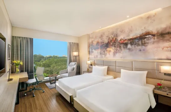 孟買安德瑞MIDC麗笙酒店