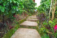 Darimane Homestay