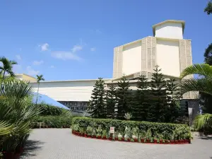 The Greenwood - Tezpur