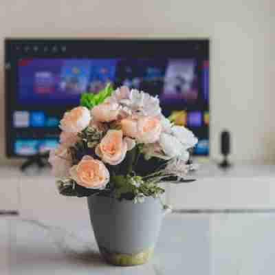 Macrolink Medini Opulent Stay 2BR 4pax Legoland Others