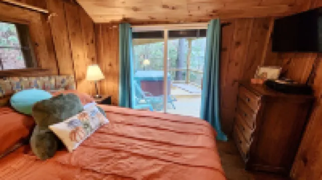 Rustic 1940's Appalachian Summer Cabin w/hot tub - Black Mountain