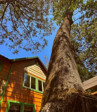 Chic Old Style Cabin, Forest Suite & Dome Lake Front. Private Beach and Own Dock