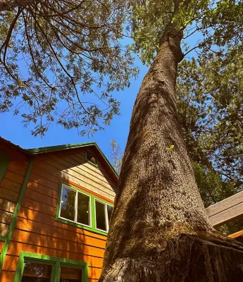 Chic Old Style Cabin, Forest Suite & Dome Lake Front. Private Beach and Own Dock