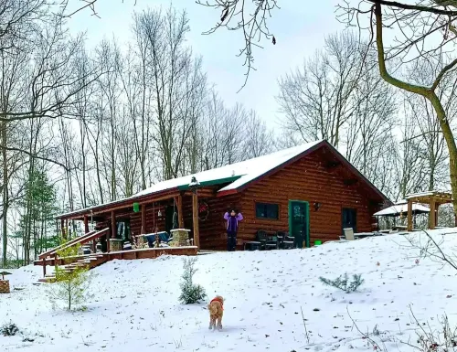 Beautiful Log Cabin 11ac. 4 br. 2.5 ba. on snowmobile trails in Manistee forest.