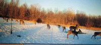 75 Acre Nature Home 100yd Shooting Range, Axe Throwing, Trails, Fire Pit, & More