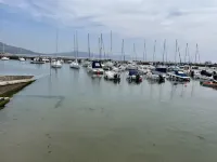 Cosy Devon Cottage in a stunning location