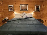 2BR cabin with private hollow, creek, and historic dam, minutes to trails/food