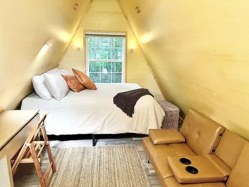 The EH Frame with Tree Pod in the woods!