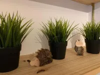 Apartment with garden