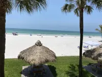 Sea Oats - Lauren Cove