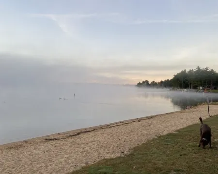 Cozy Wisconsin home a block off Lake Arbutus. โรงแรมในJackson County