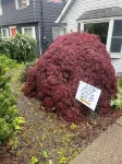 Cozy 1 bedroom apartment in Enjoyable Ketchikan with WiFi.