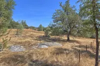 This quaint cottage is the perfect home base for your Yosemite trip.