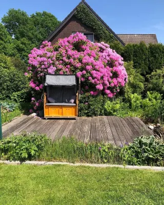 Very nice vacation apartment "Falkenhus" in the climatic health resort Wiesmoornew sauna area" Hallenbad Wiesmoor 주변 호텔