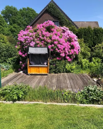 Very nice vacation apartment "Falkenhus" in the climatic health resort Wiesmoornew sauna area"