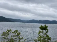 Cave Run Red River Gorge Cabin فنادق في Menifee County