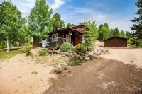 Breathtaking Pike's Peak View from Adorable Mountain Cabin