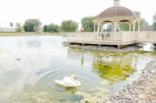 Spacious & Quiet Amish Farm Stay - 16+ Guests Hotels in Upper Leacock Township