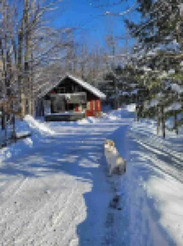 Cozy creekside cabin near Big Powderhorn's Lift #1 & Recreational Trail #2!!