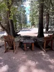 6 Apple Cottage in the pines