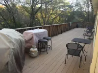 Cozy Bear Hollow  " Cozy, rustic charming, a great value"