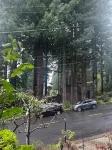 Humboldt Haven: Gorgeous Home for 10 w Gardens, Firepits, Forest & Bay Views