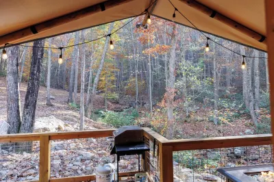 BEARADISE “Glamping Paradise”