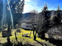 Chalet in Flattnitz Near Ski Slopes & Lakes