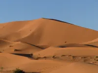 Dar Marhaba - Pet friendly