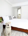 Live & Let Live Inn - Inns