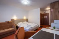 RentPlanet - Apartamenty Okrzei Hotels in Szklarska Poręba