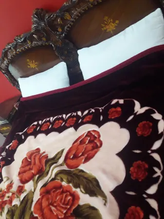 Wadirum Hostel Отели рядом с достопримечательностью «Rum village»