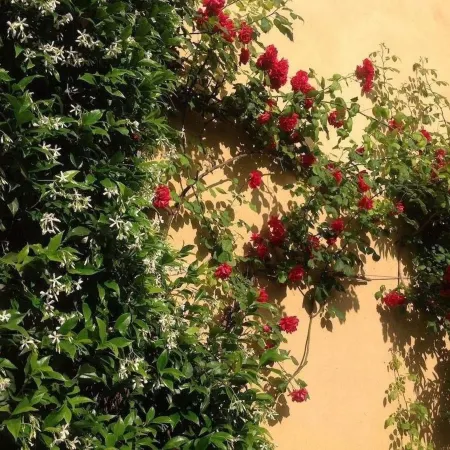 Albergo Giardinetto