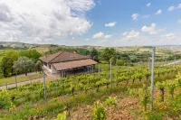 Panorama Villa Nestled Among the Vineyards Langhe Hotels in Neive