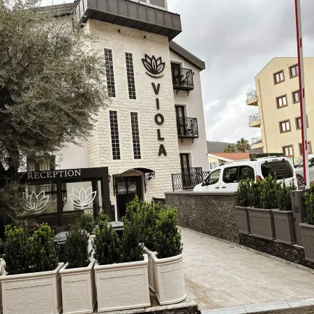 Viola Hotel Budva