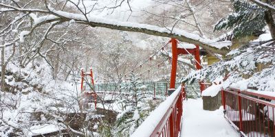 ホテル周辺 日光国立公園 川俣温泉 蔵の写真